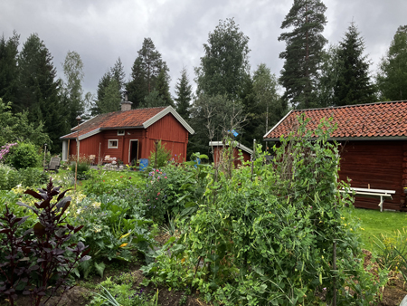 Stugan dasset och vebon hos Mimmi