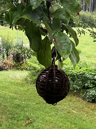 Sänke i äppelträdet