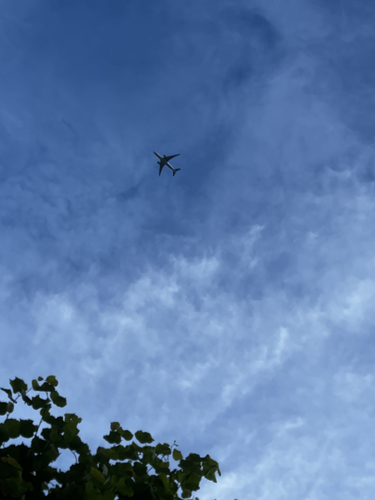 Flygplan mot julihimmel