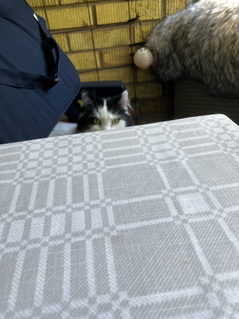 Lucifer sur blickar över bordet på balkongen