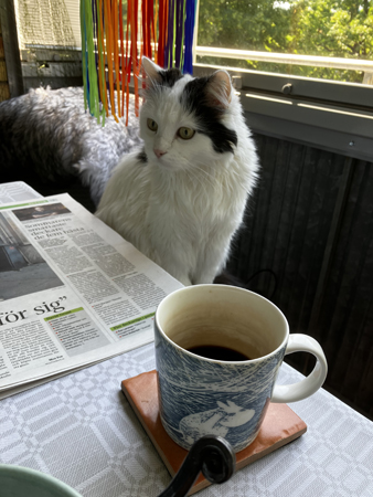 Citrus vid frukostbordet på balkongen