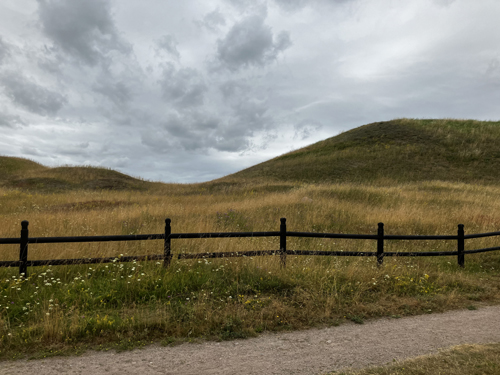 Gamlis högar 2 18 jul i 22