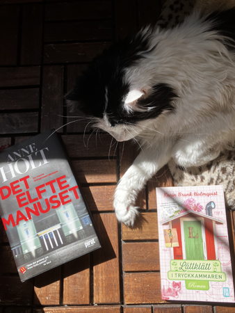 Lucifer och böckerna Det elfte manuset och Lättklätt i tryckkammaren