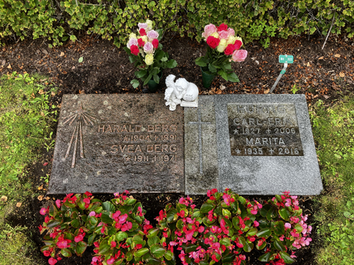 Rosor till mormor o morfar o mamma o pappa