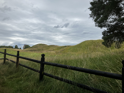 Gamlis högar 4 18 juli 22