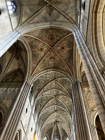 Taket i Domkyrkan 24 juli 22