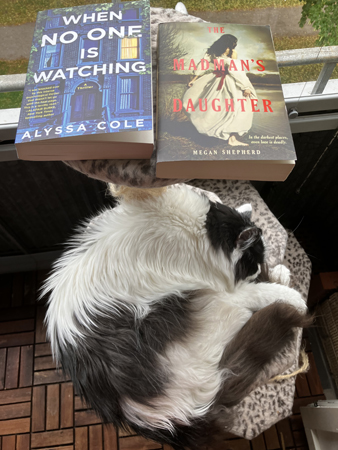 Lucifer under böckerna When no one is watching o The madman's daughter