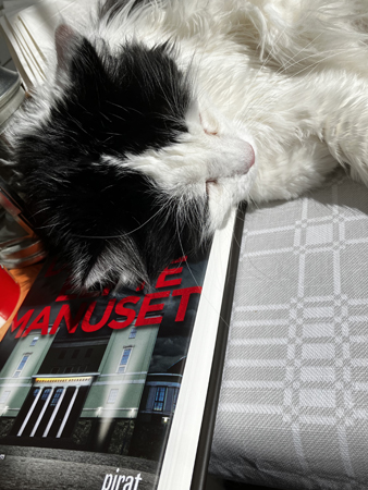 Lucifer vilar huvudet på min bok