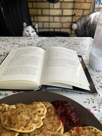 Citrus mitt lunchsällskap på balkongen