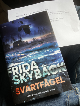 Frida Skybäcks bok Svartfågel
