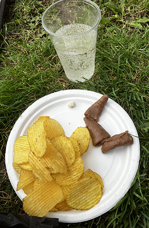 Snacks och cider i gröngräset