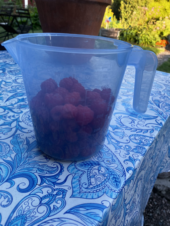 En knapp halvliter hallon