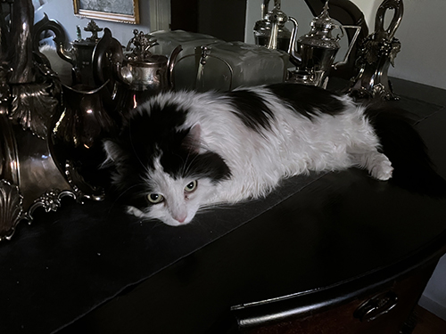 Lucifer på ekbyffén Lucifer på ekbyffén