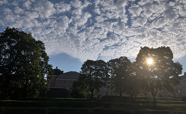 Uppsala slott i motljus