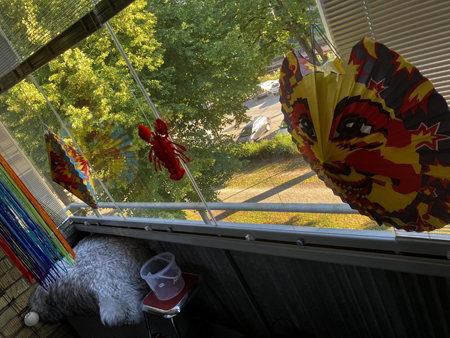 Kräftmånar och en kräfta på balkongen