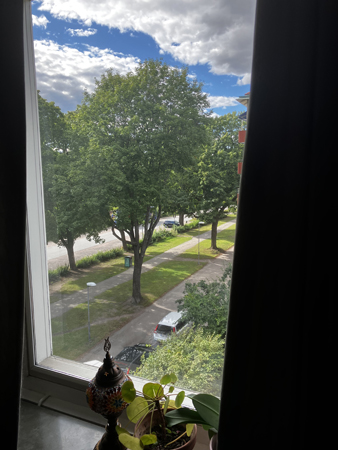 Fönstret i Matsalen