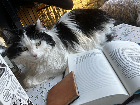 Lucifer på balkongbordet med upslagen bok