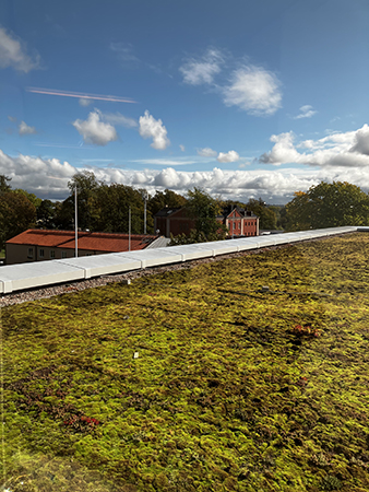 Utsikt från ett hörn av Segerstedthuset