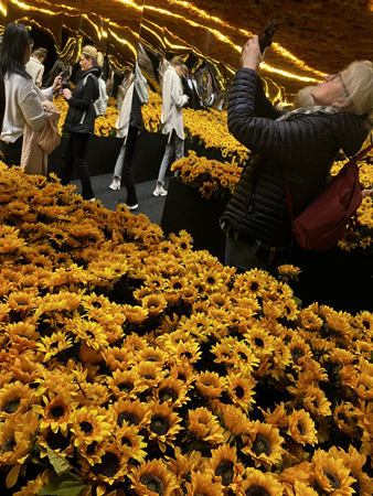 Anna bland solrosor van Gogh alive