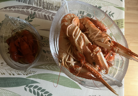 Insjökräftor och havskräftor med räkor under