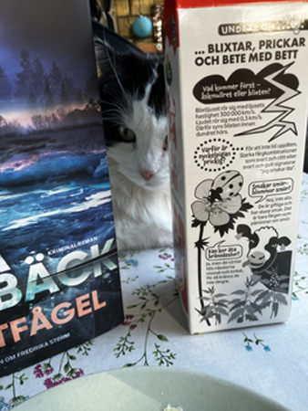 Lucifer tittar fram mellan bok och mjölkpaket