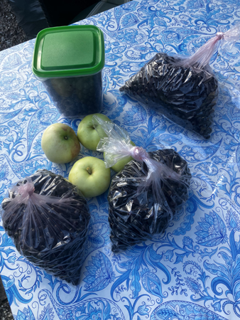 Fyra liter Aroniabär och äpplen