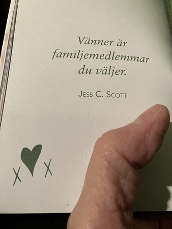 Vänner är familjemedlemmar du väljer citat av Jess C Scott