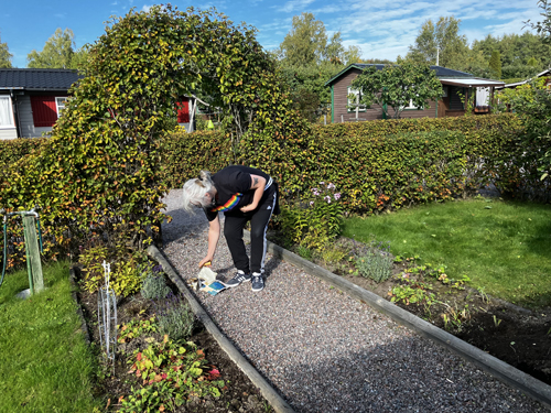 Nya Slottsfrun ska sätta lökar