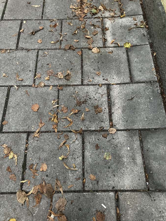 Gråa plattor med vissna löv