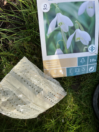 Lökar till snödroppar