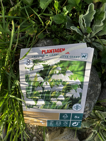 Klosterliljor påse med lökar