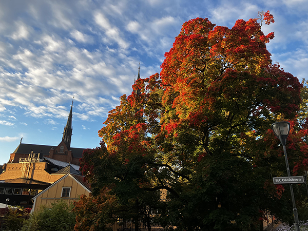 Höst på St Olofsbron