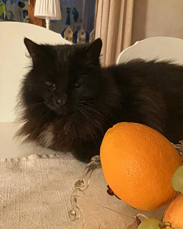 Lukas och apelsinen Lukas och apelsinen