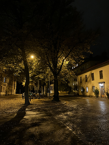 St Olofsgatan från hörnet vid Övre Slottsgatan natt