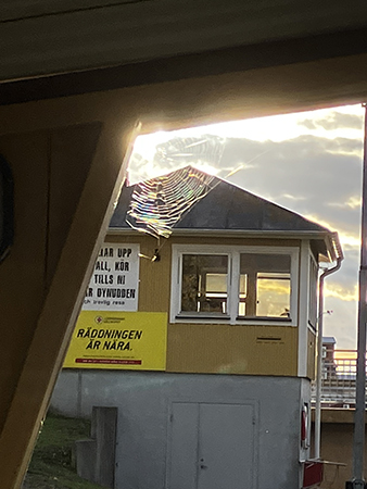 Spindelnät och Räddningen är nära