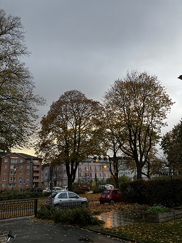 Grå och regnig höstsöndag