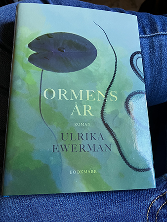 Boken Ormens år på mitt ben