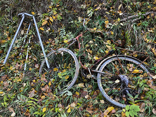 Uppfiskat ur kanalen