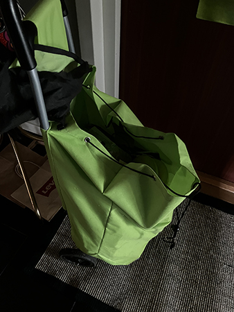 Dramaten formerly known as Roland