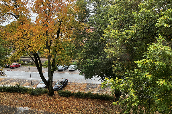 Höst i allén från fönstret i Pojkrummet Höst i allén från fönstret i Pojkrummet