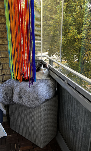 Lucifer spanar på balkongen