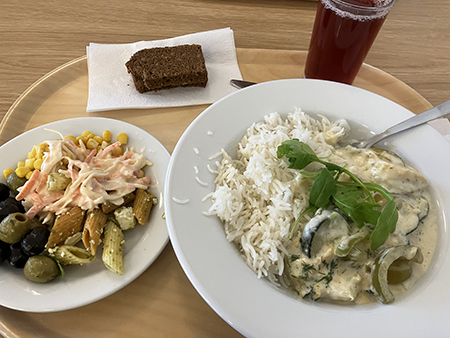 Sallad och fisk med ris