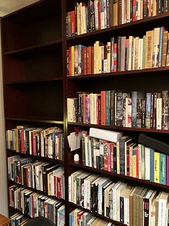 Tre tomma hyllplan i en bokhylla