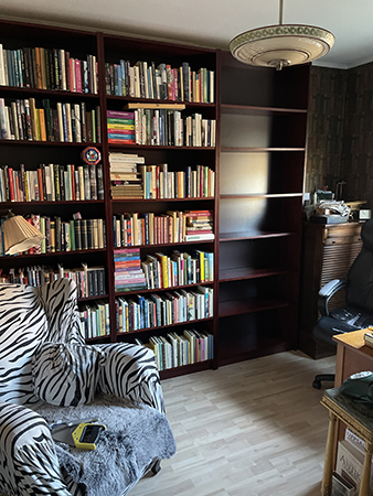 Tom bokhylla för skönlitteratur foto Anna