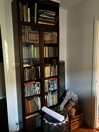 Bokskåpet med glasdörrar