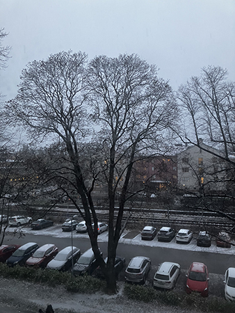 Grå november med snö