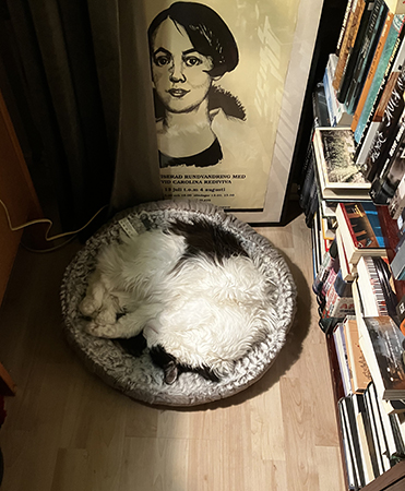 Lucifer i korgen i nya Bokrummet övervakad av Karin Boye