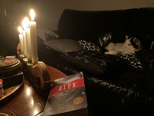 Citrus i soffan fjärde advent