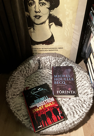 Karin Boye övervakar böckerna Svart guld och Förinta