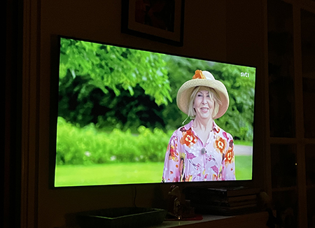 Stjärnorna på Slottet Pia Johansson